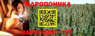 spice Гусь-Хрустальный