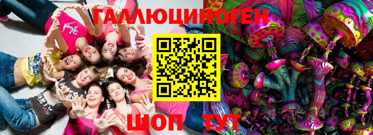 Псилоцибиновые грибы Psilocybe Нарткала