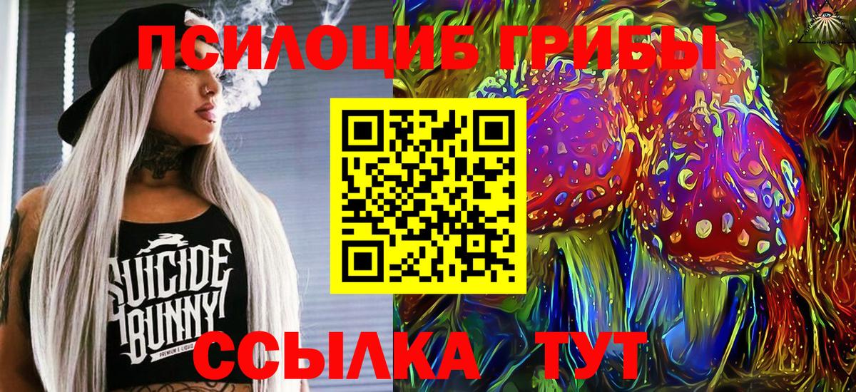 Нарткала  Псилоцибиновые грибы Cubensis  Вход с VPN 